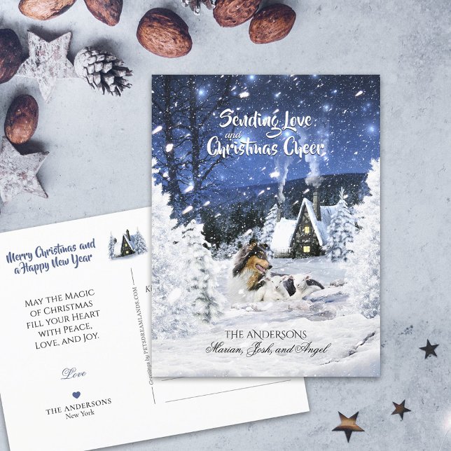 Carte Postale Tricolore Collie & Lampes dans la nuit neige - Vac (Créateur téléchargé)