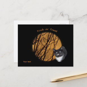 Carte Postale Tricoter ou traiter Halloween chat noir & lune