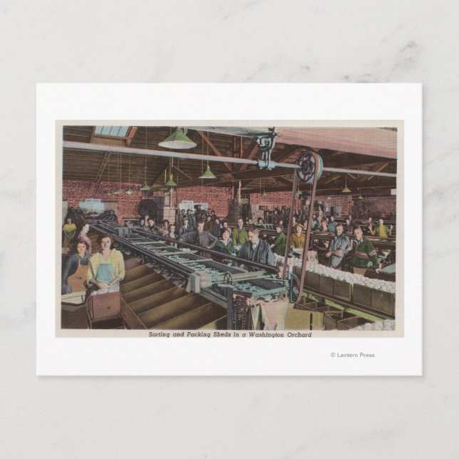 Carte Postale Trier et emballer l'usine et les ouvriers (intérie (Devant)