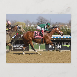 Carte Postale Trier pour trier