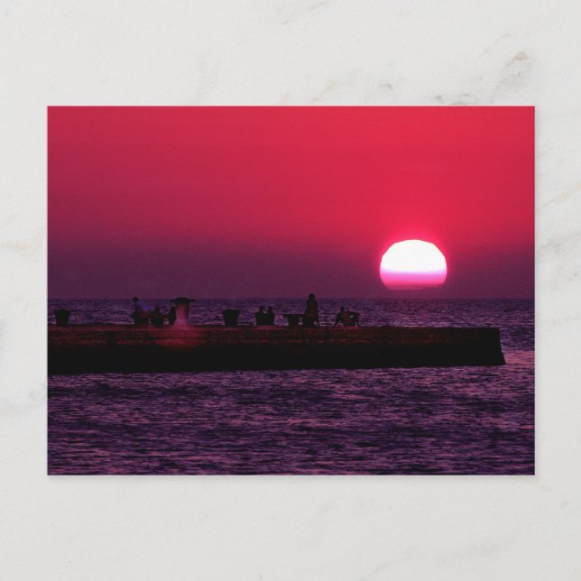 Carte Postale trieste molo audace (Devant)