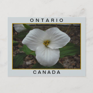 Carte Postale Trillium de l'Ontario, Canada