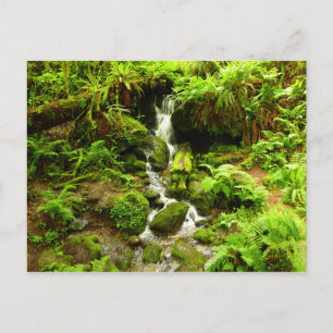 Carte Postale Trillium Falls