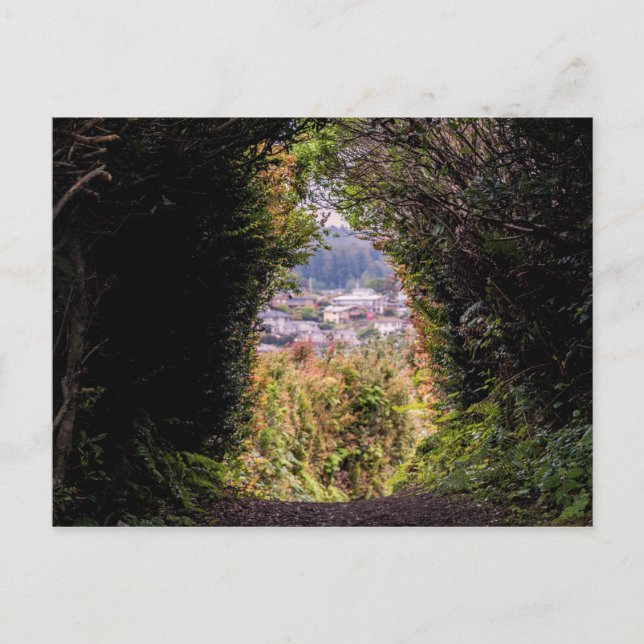 Carte Postale Trinidad (Devant)