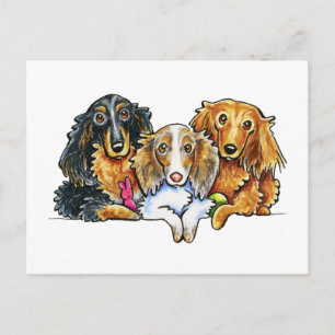 Carte Postale Trio Dachshund
