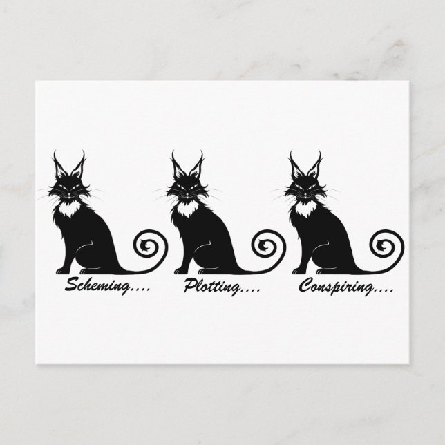 Carte Postale Trio de chats en lot (Devant)