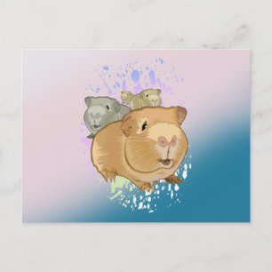 Carte Postale Trio de Cochons d'Inde Mignons Dégradé Rose Bleu