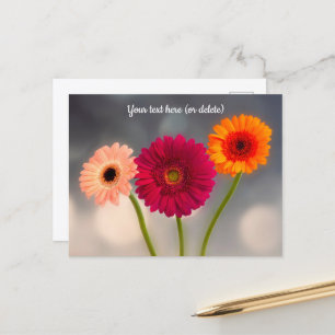 Carte postale : Trio de Gerberas