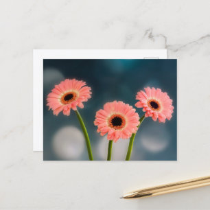 Carte postale : Trio de Gerberas roses