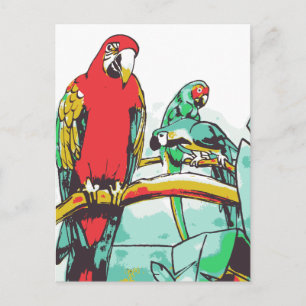Carte Postale Trio de perroquets