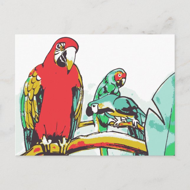 Carte Postale Trio de perroquets (Devant)
