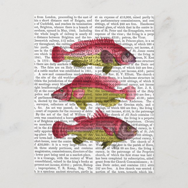 Carte Postale Trio de poissons fantaisie rouges et jaunes (Devant)