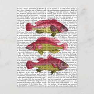 Carte Postale Trio de poissons fantaisie rouges et jaunes