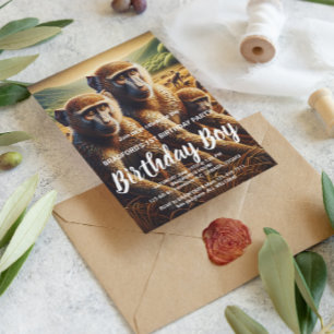 Carte Postale Trio de singes en train de se fracasser