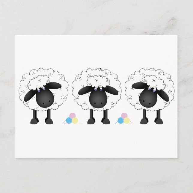 Carte Postale Trio des moutons (Devant)