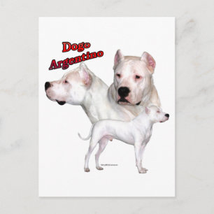 Carte Postale Trio Dogo Argentino 2