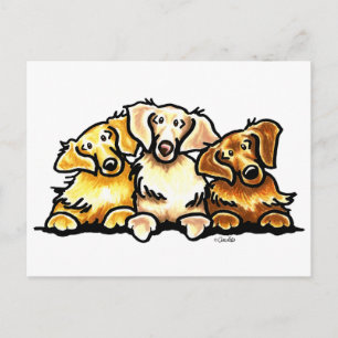 Carte Postale Trio Golden Retriever