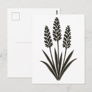 Carte Postale Trio Hyacinthe – Pinceau d'encre botanique de prin