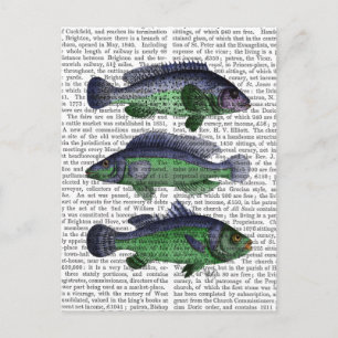 Carte Postale Trio poisson bleu et vert