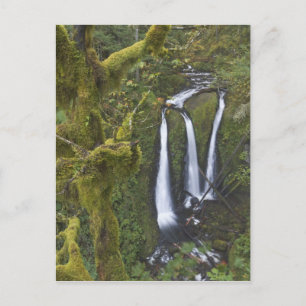 Carte Postale Triple Falls, gorge du Columbia