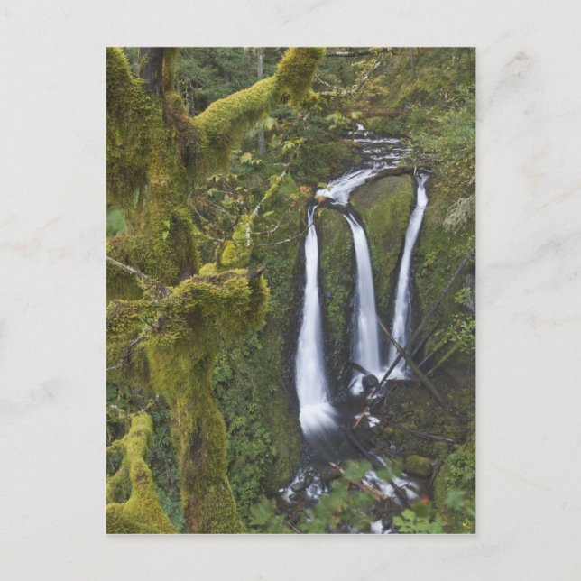 Carte Postale Triple Falls, gorge du Columbia (Devant)