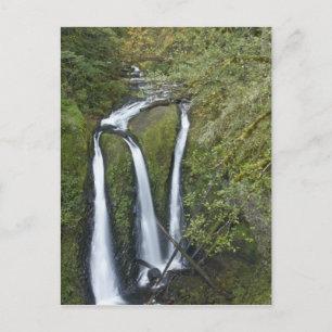 Carte Postale Triple Falls, gorge du Columbia