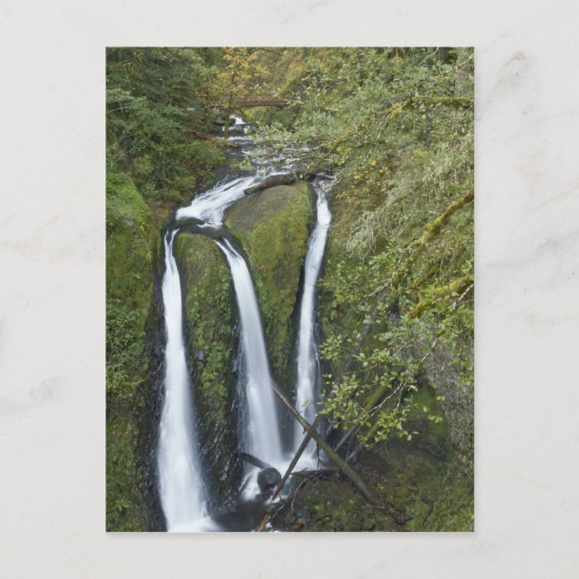 Carte Postale Triple Falls, gorge du Columbia (Devant)