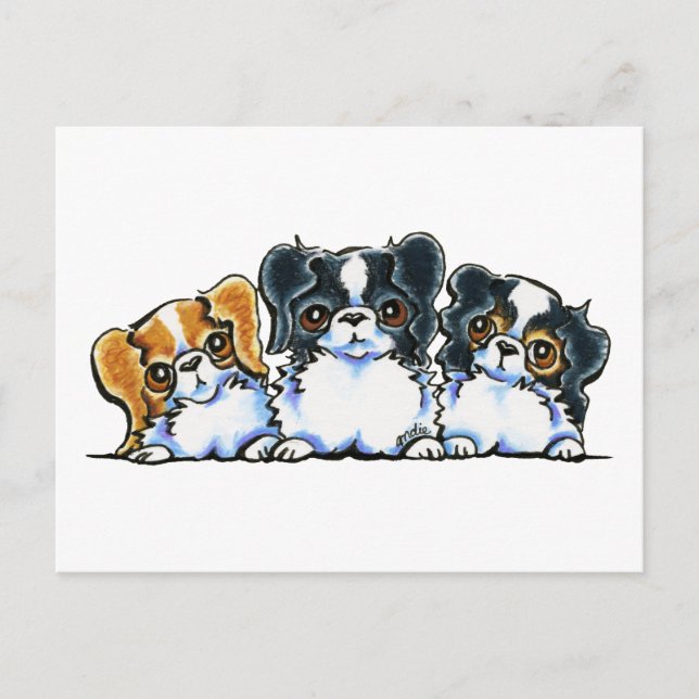 Carte Postale Triple Japanese Chin (Devant)