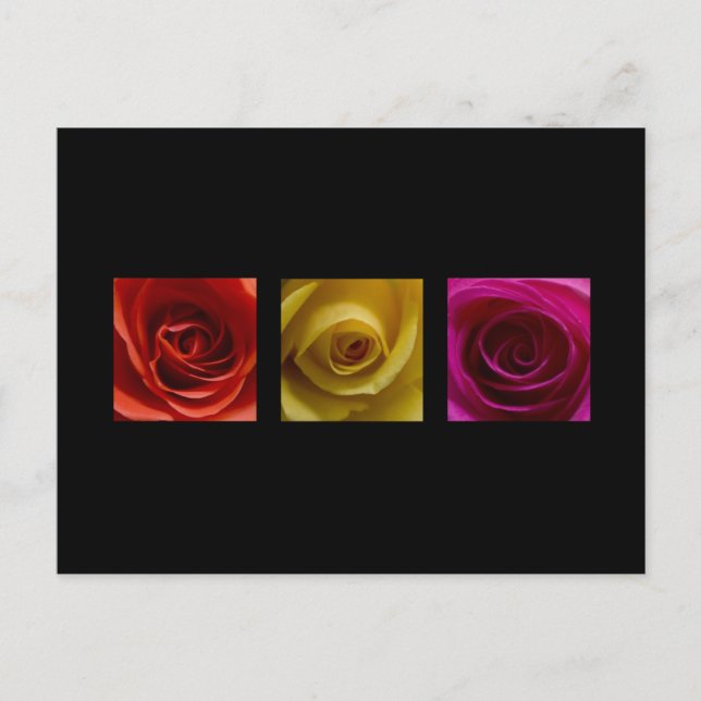 Carte Postale Triptyque Rose orange rose jaune (Devant)