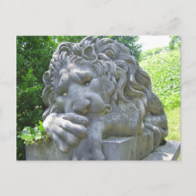 Carte postale triste Lion (Devant)
