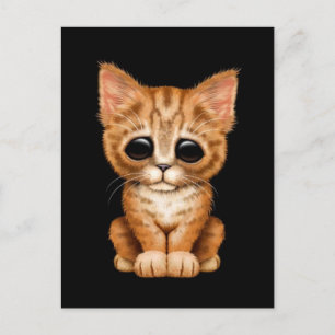 Carte Postale Triste Tabby Kitten Orange Tabat sur Noir