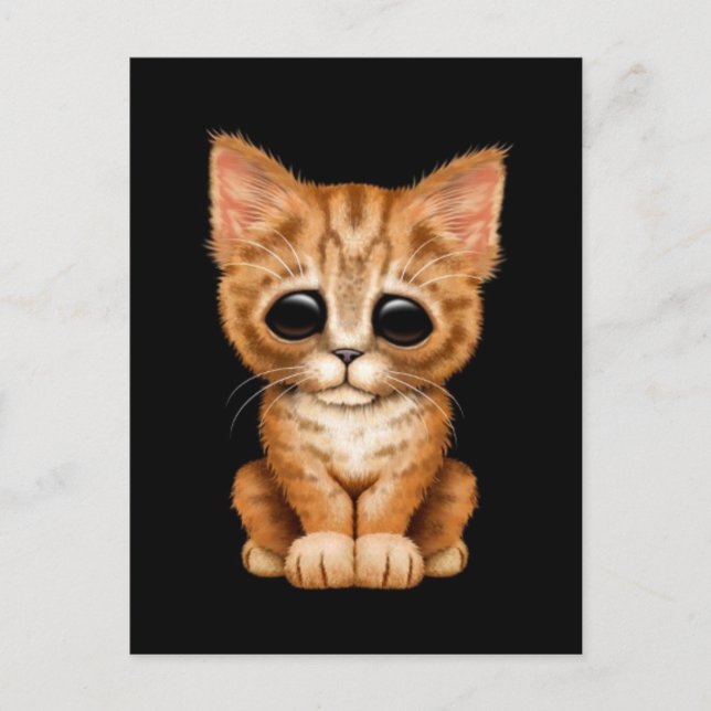 Carte Postale Triste Tabby Kitten Orange Tabat sur Noir (Devant)