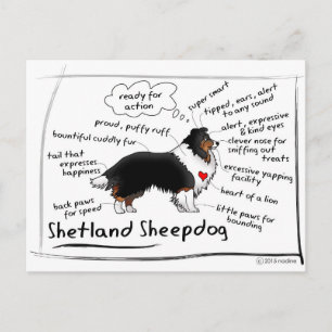 Carte Postale Trithèque noire