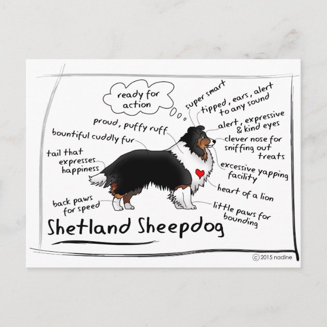 Carte Postale Trithèque noire (Devant)