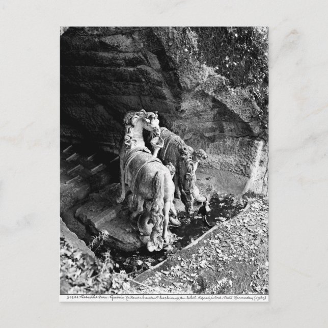 Carte Postale Tritons arrosant les chevaux du soleil (Devant)