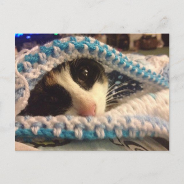 Carte Postale Trixie et le blues (Devant)