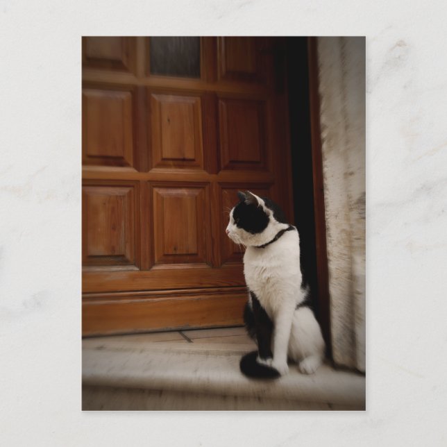 Carte Postale Trogir 16 (Devant)