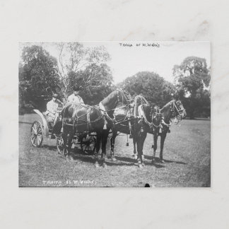 Carte Postale Troïka américaine 1911