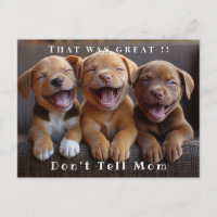 Trois adorables chiots drôles et rieurs