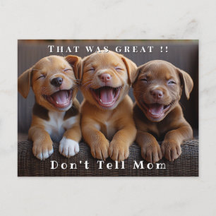 Carte Postale Trois adorables chiots drôles et rieurs