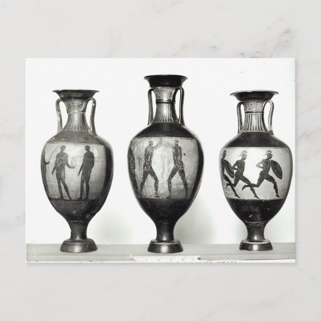 Carte Postale Trois amphores panathéniques (Devant)