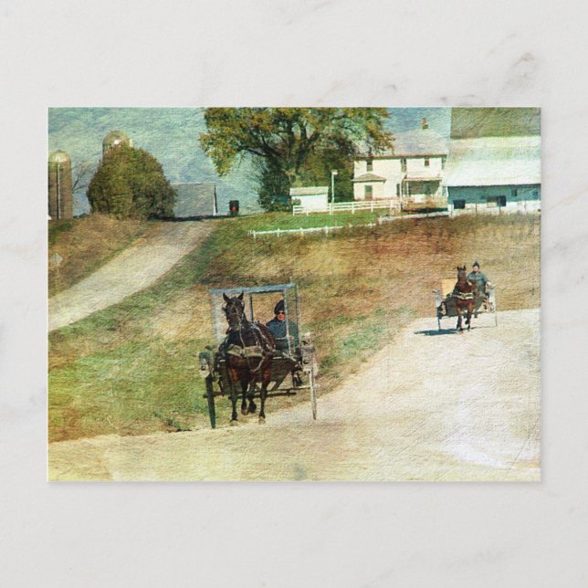 Carte Postale Trois buggies Amish (Devant)