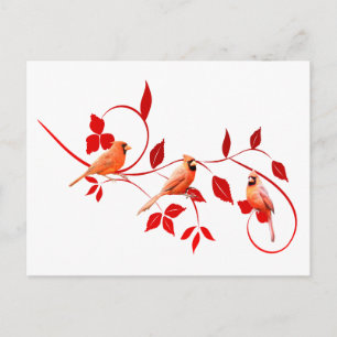 Carte Postale Trois cardinaux