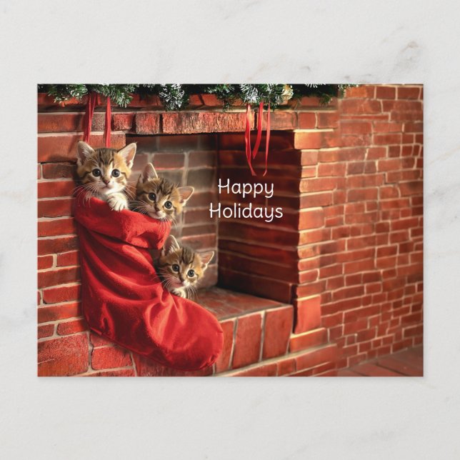 Carte Postale Trois chatons dans une chaussette de Noël (Devant)