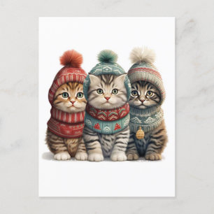 Carte Postale Trois chatons en pulls