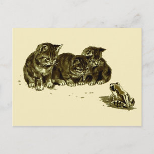 Carte Postale Trois chatons et une grenouille