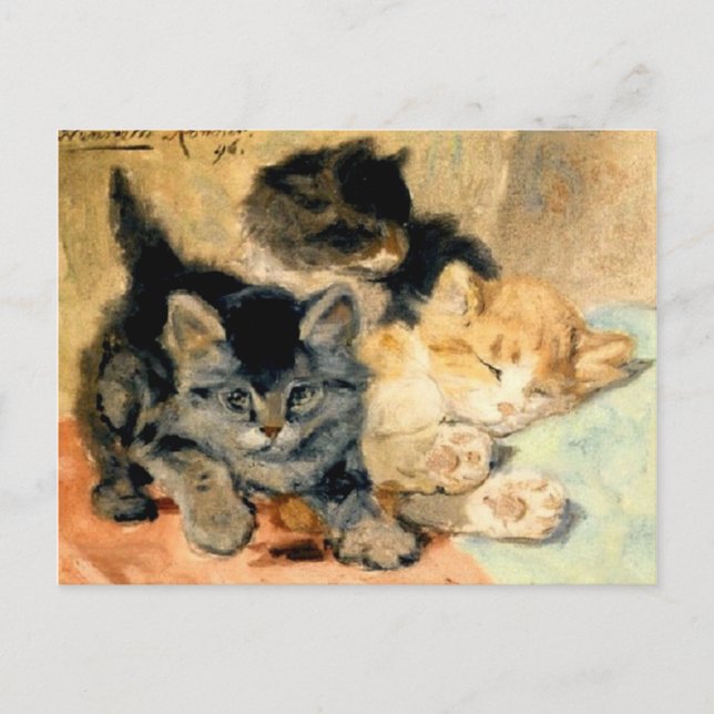 Carte Postale Trois chatons mignons - Ronner (Devant)