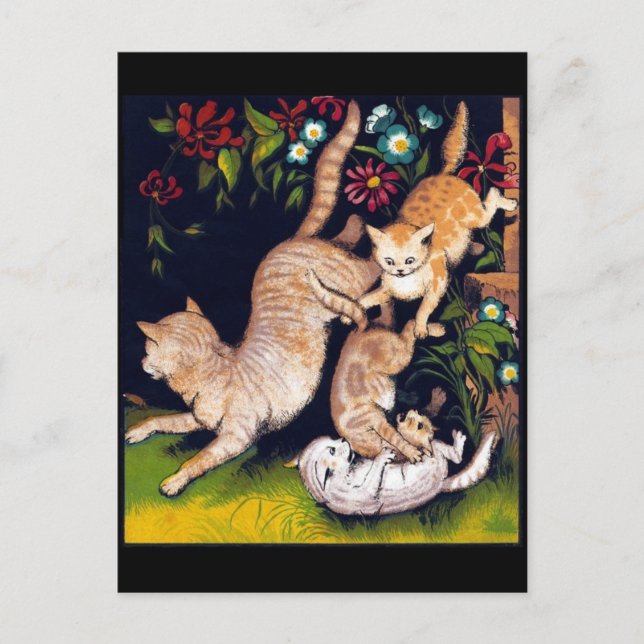Carte Postale Trois chats joueurs (Devant)