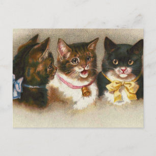 Carte postale "Trois chats Vintages"