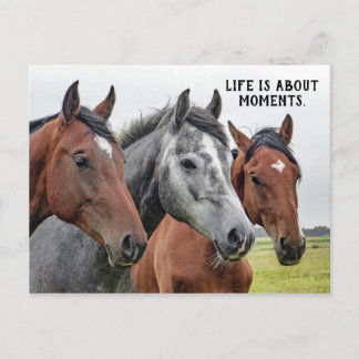 Carte Postale Trois Chevaux - "La vie, c'est des moments."
